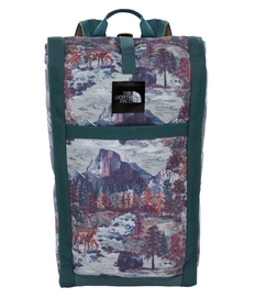 The north face homestead roadsoda backpack on sale