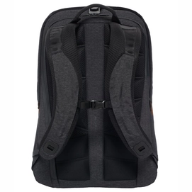North face shop access backpack