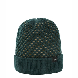 Beanie The North Face Shinsky Ponderosa Green