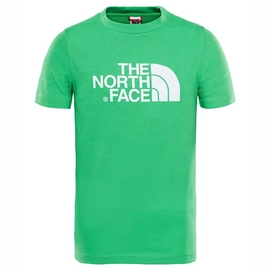 T-Shirt The North Face Youth Easy Classic Green Kinder