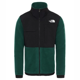 The north face denali 2 cheap