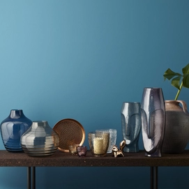 Vaas Leonardo Mota 30 Blauw