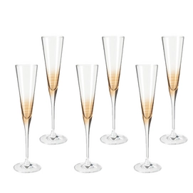 Champagneglas Leonardo Cheers Marrone (6-delig)