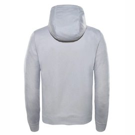 Trui The North Face Men Surgent Halfdome Hoodie TNF Light Grey Heather