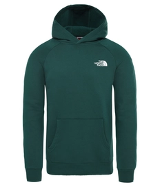 Pullover The North Face Raglan Red Box Hoody Night Green Herren