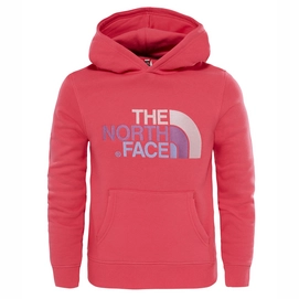 Kinder Trui The North Face Youth Drew Peak PO Hoodie Honeysuckle Pink