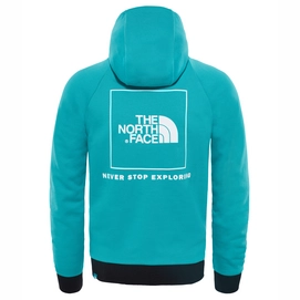 Trui The North Face Men Raglan Red Box Hoodie Porcelain Green