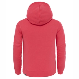 Trui The North Face Youth Drew Peak PO Hoodie Honeysuckle Pink