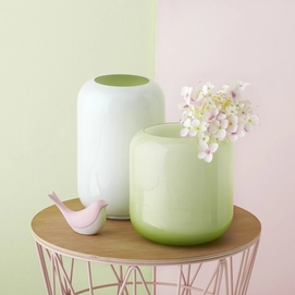 Vaas Leonardo Novello 25 cm Wit Groen