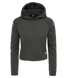 Trui The North Face Women Light Hoodie New Taupe Green