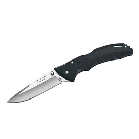 Folding Knife Buck 286 Bantam BHW Clampack