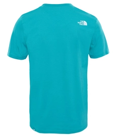 T-Shirt The North Face Men Easy Porcelain Green