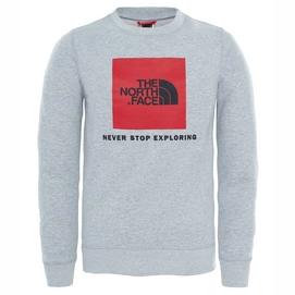Pullover The North Face Youth Box Crew TNF Light Grey Heather Kinder