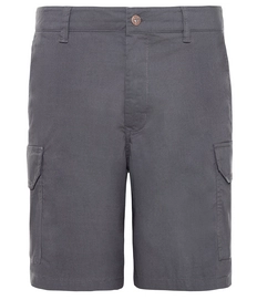 Korte Broek The North Face Men Junction Short Asphalt Grey