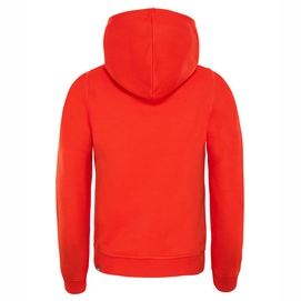 Trui The North Face Youth Drew Peak Hoodie Fiery Red TNF White