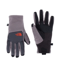 Gloves The North Face Men Denali Etip Grey