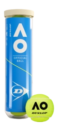 601602_DT24_AO_20Official_204Ball_2