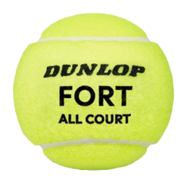601607_DT24_Fort_20All_20Court_204Ball_3