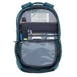 Rugzak The North Face Borealis Dark Stripe Spruce Silver Pine Green Leather