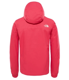 Jas The North Face Men Mountain Q Raspberry Red