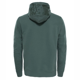 Trui The North Face Men Seasonal Drew Peak Pullover Light Thyme