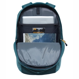 Rugzak The North Face Borealis Dark Stripe Spruce Silver Pine Green Leather