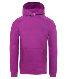 Trui The North Face Men Raglan Red Box Hoodie Phlox Purple