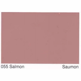 055 Salmon