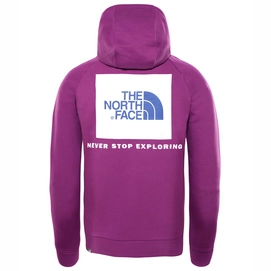 Trui The North Face Men Raglan Red Box Hoodie Phlox Purple