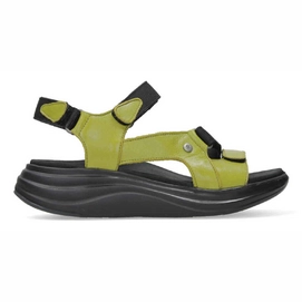 Sandaal Wolky Women Cirro Savana leather Olive-Green