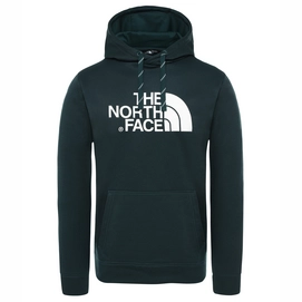 Pullover The North Face Sur Hoodie Ponderosa Green Heather Herren
