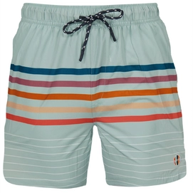 Zwembroek Barts Men Cruz Shorts Dark Celadon