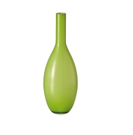 Vaas Leonardo Beauty 39 Green