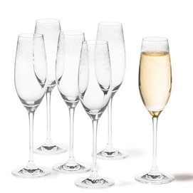 Champagneglas Leonardo Chateau 200ml (6-delig)