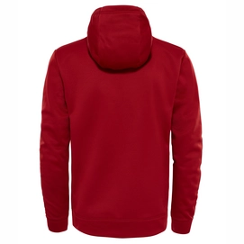 Trui The North Face Men Surgent Halfdome PO Hoodie Cardinal Red