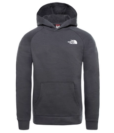 Trui The North Face Men Raglan Red Box Hoodie Asphalt Green Zinnia Orange