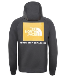 Trui The North Face Men Raglan Red Box Hoodie Asphalt Green Zinnia Orange