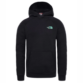 Trui The North Face Men Raglan Red Box Hoodie TNF Black Iridescent