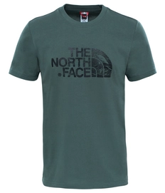 T-Shirt The North Face Men S S Woodcut Dome Tee Thyme