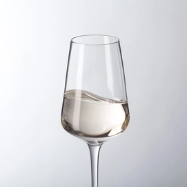 Wijnglas Leonardo Puccini Digestif 220 ml (6-delig)