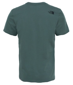 T-Shirt The North Face Men S S Woodcut Dome Tee Thyme