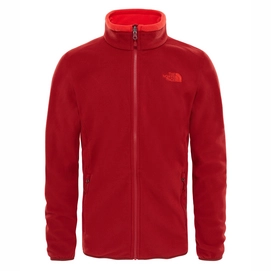 Winterjas The North Face Men Evolution II Triclimate Cardinal Red