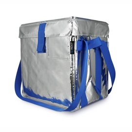 Koeltas Pack It EcoFreeze Tote Zilver 24L