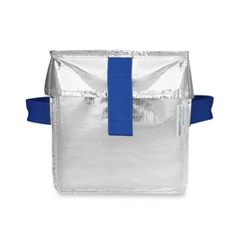 Koeltas Pack It EcoFreeze Ice Cream Tote Zilver 6L