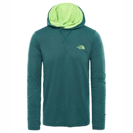 Pullover The North Face Reactor Hoodie Botanical Garden Grün Heather Herren