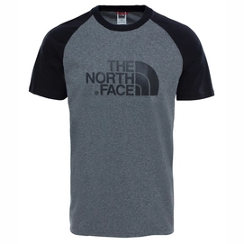 T-Shirt The North Face Raglan Easy TNF Medium Grau Heather Herren