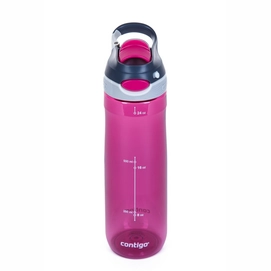 Wasserflasche Contigo Chug Verry Berry