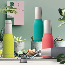 Thermosfles Asobu Oasis Grijs 600 ml