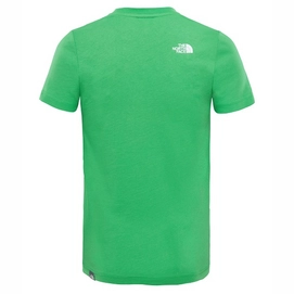 T-Shirt The North Face Youth Box Classic Green