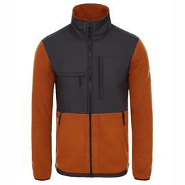 Fleece The North Face Men Denali Caramel Cafe TNF Black